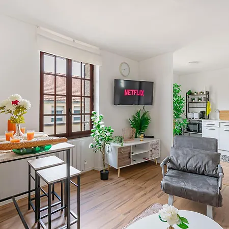 Grand Logement 38M2, Aeroport Paris Cdg, Disneyland Paris, Parc Asterix, Chambre, Salon Le Pin  Exterior photo