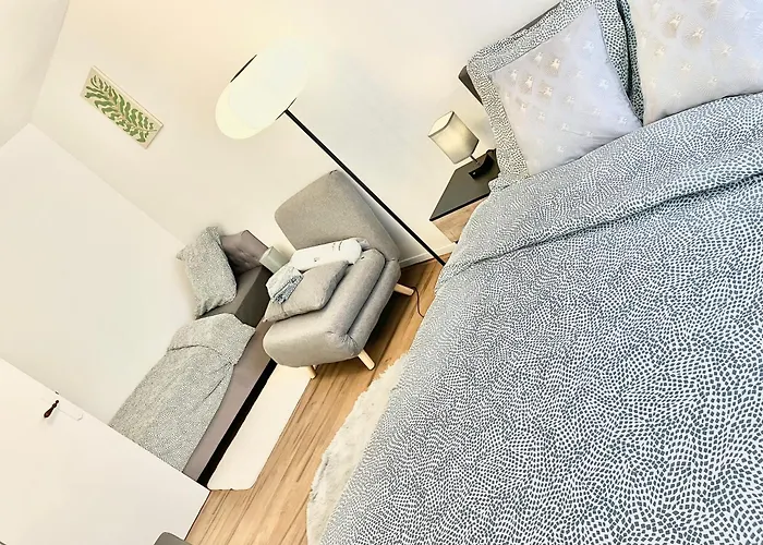 Grand Logement 38M2, Aeroport Paris Cdg, Disneyland Paris, Parc Asterix, Chambre, Salon