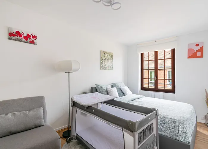 Grand Logement 38M2, Aeroport Paris Cdg, Disneyland Paris, Parc Asterix, Chambre, Salon
