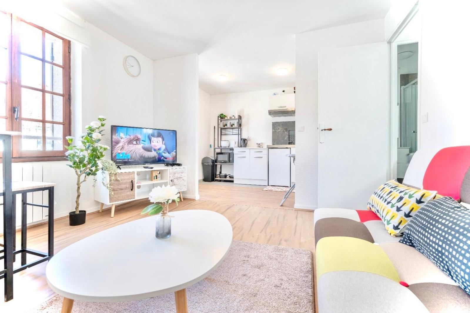Grand 38m2, Aeroport Paris Cdg, Disneyland Paris, Parc Asterix, Chambre, Salon