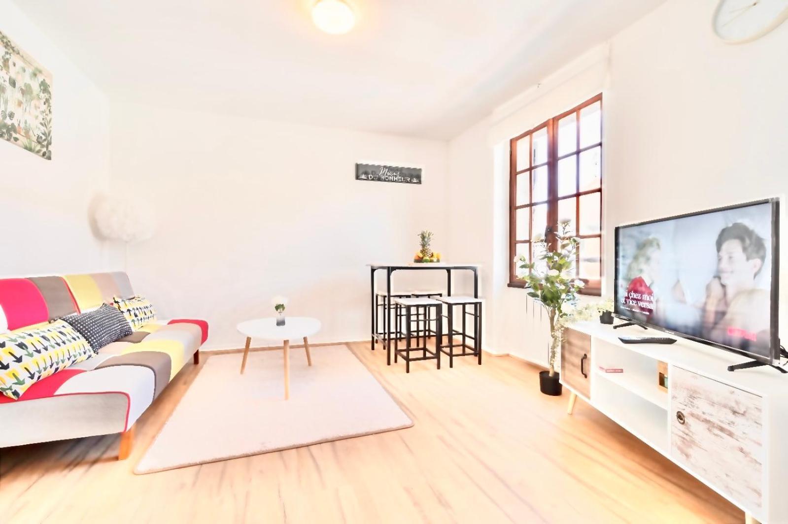 Apartment Grand 38m2, Aeroport Paris Cdg, Disneyland Paris, Parc Asterix, Chambre, Salon