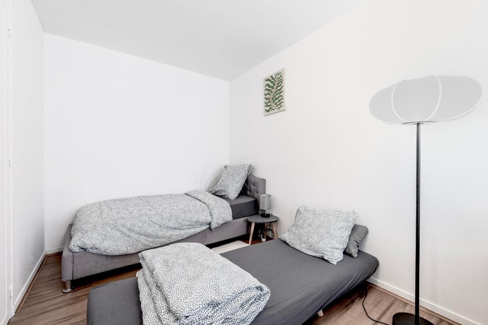 Grand 38m2, Aeroport Paris Cdg, Disneyland Paris, Parc Asterix, Chambre, Salon
