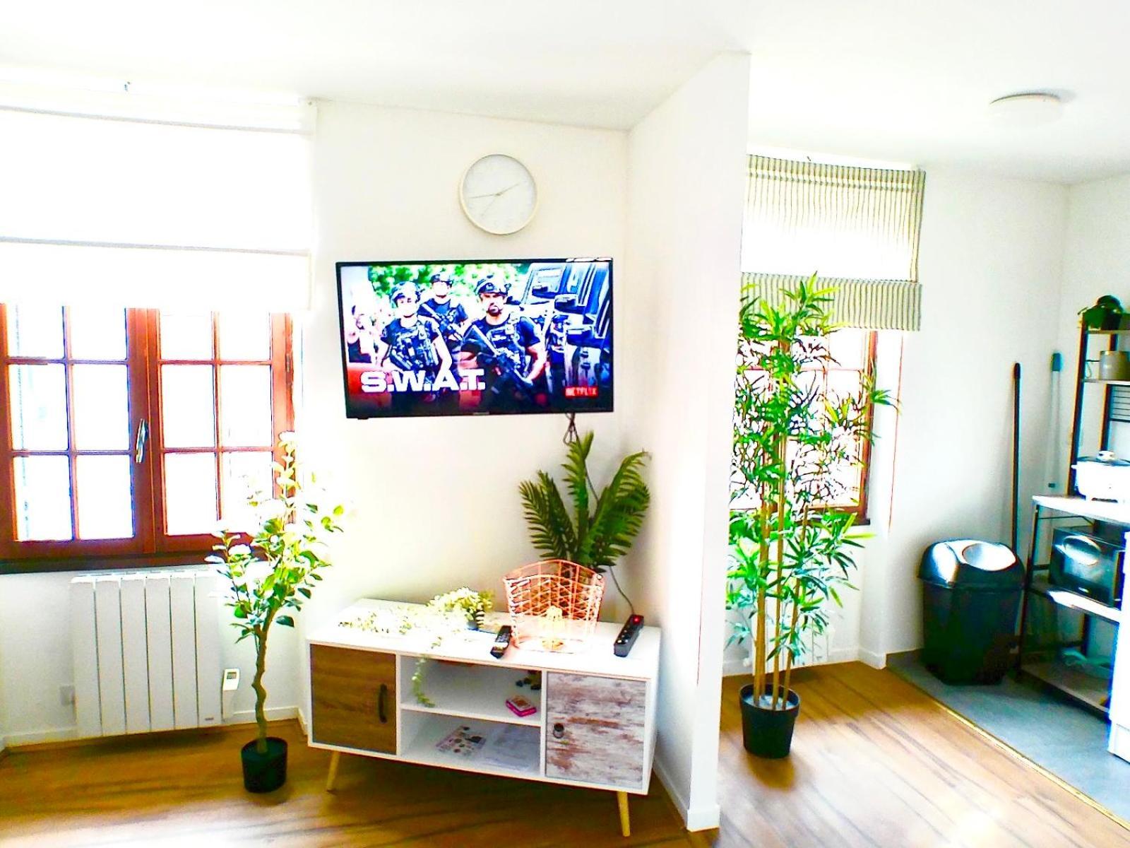 Apartment Grand 38m2, Aeroport Paris Cdg, Disneyland Paris, Parc Asterix, Chambre, Salon