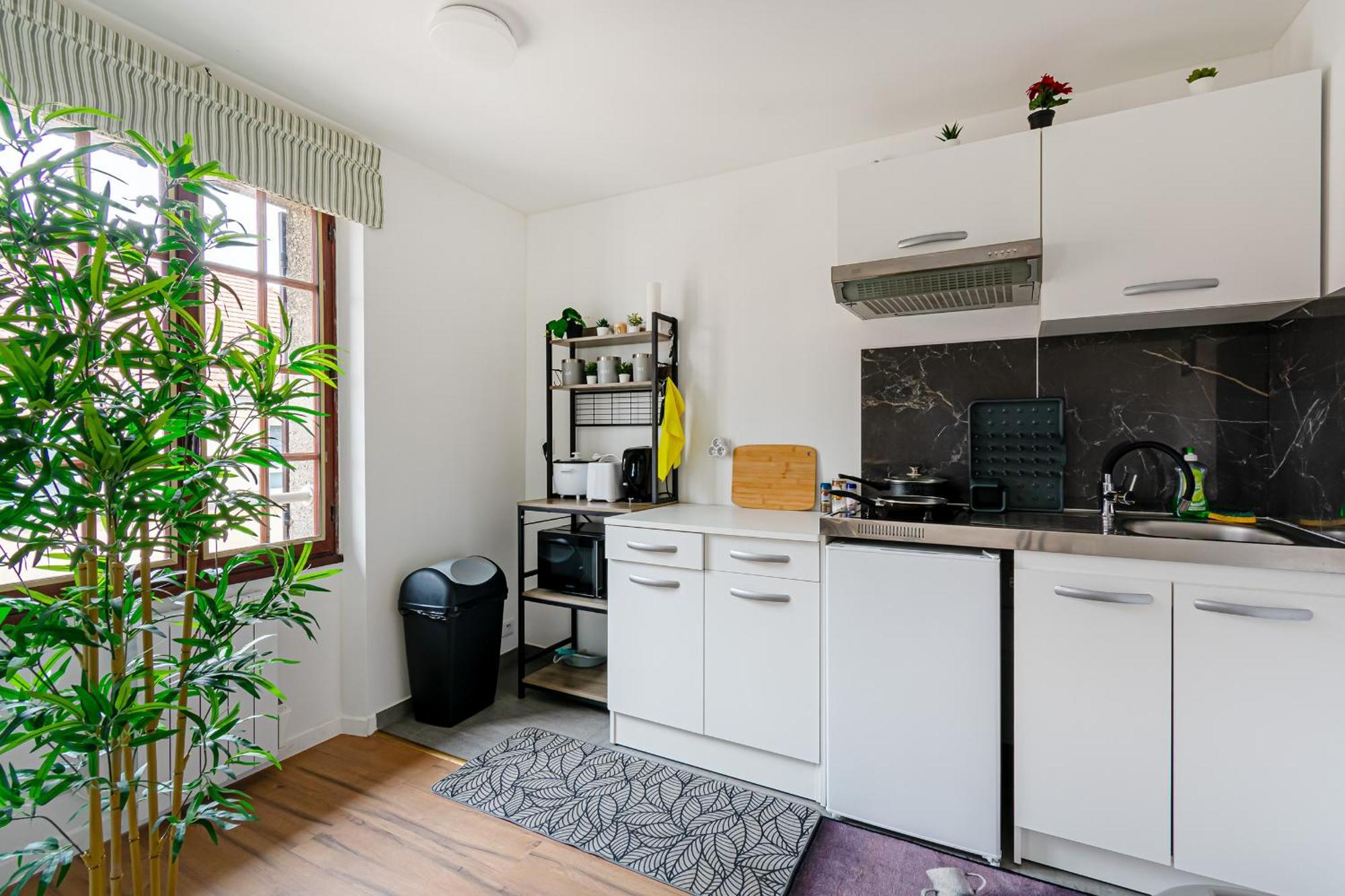 Grand 38m2, Aeroport Paris Cdg, Disneyland Paris, Parc Asterix, Chambre, Salon Apartment