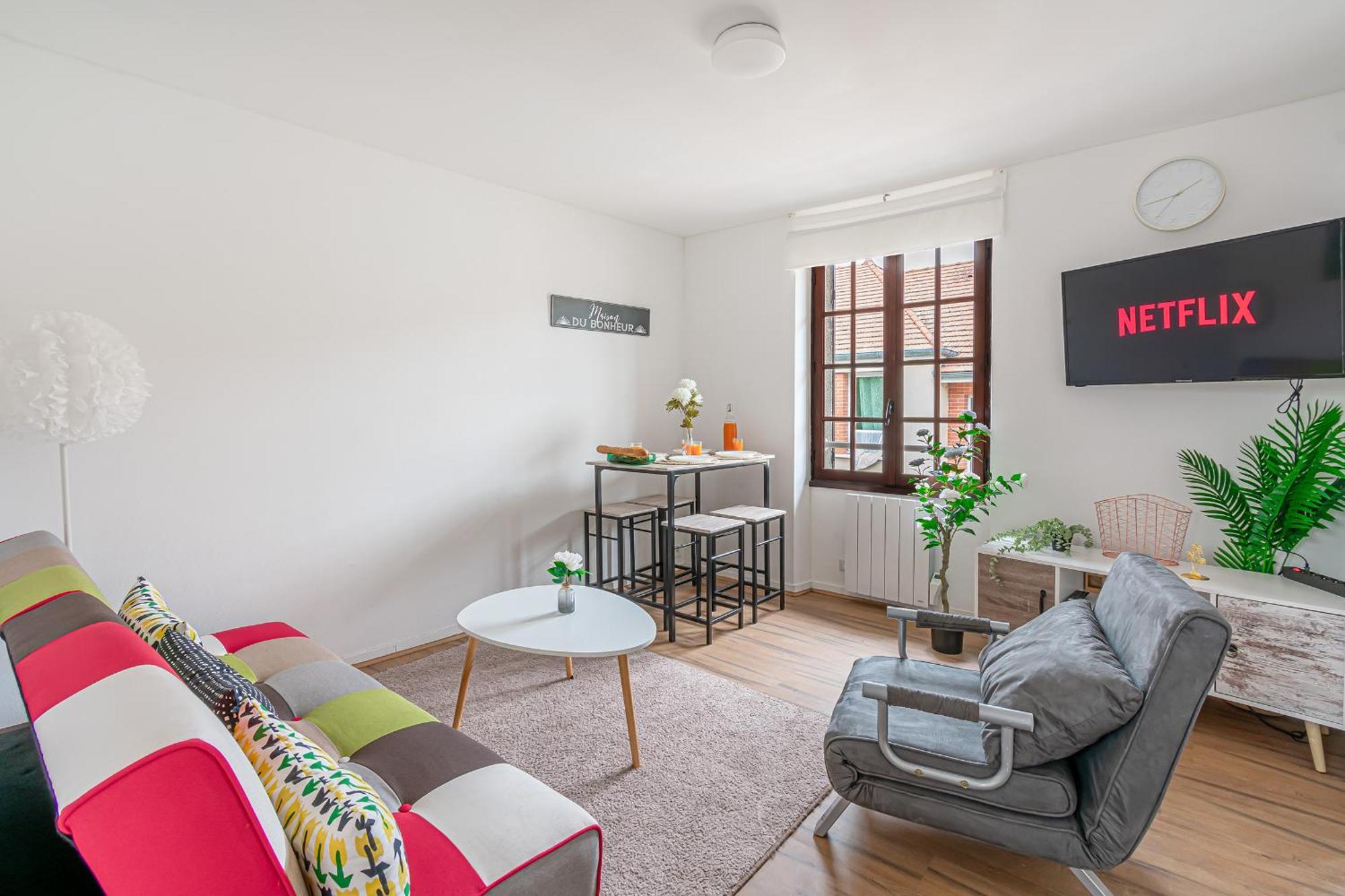 Apartment Grand 38m2, Aeroport Paris Cdg, Disneyland Paris, Parc Asterix, Chambre, Salon *