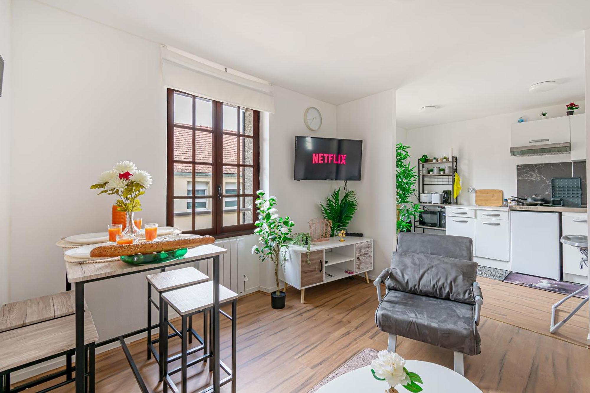 Grand 38m2, Aeroport Paris Cdg, Disneyland Paris, Parc Asterix, Chambre, Salon Apartment