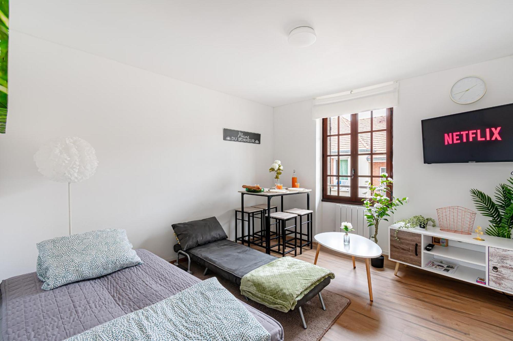 Grand 38m2, Aeroport Paris Cdg, Disneyland Paris, Parc Asterix, Chambre, Salon Apartment *