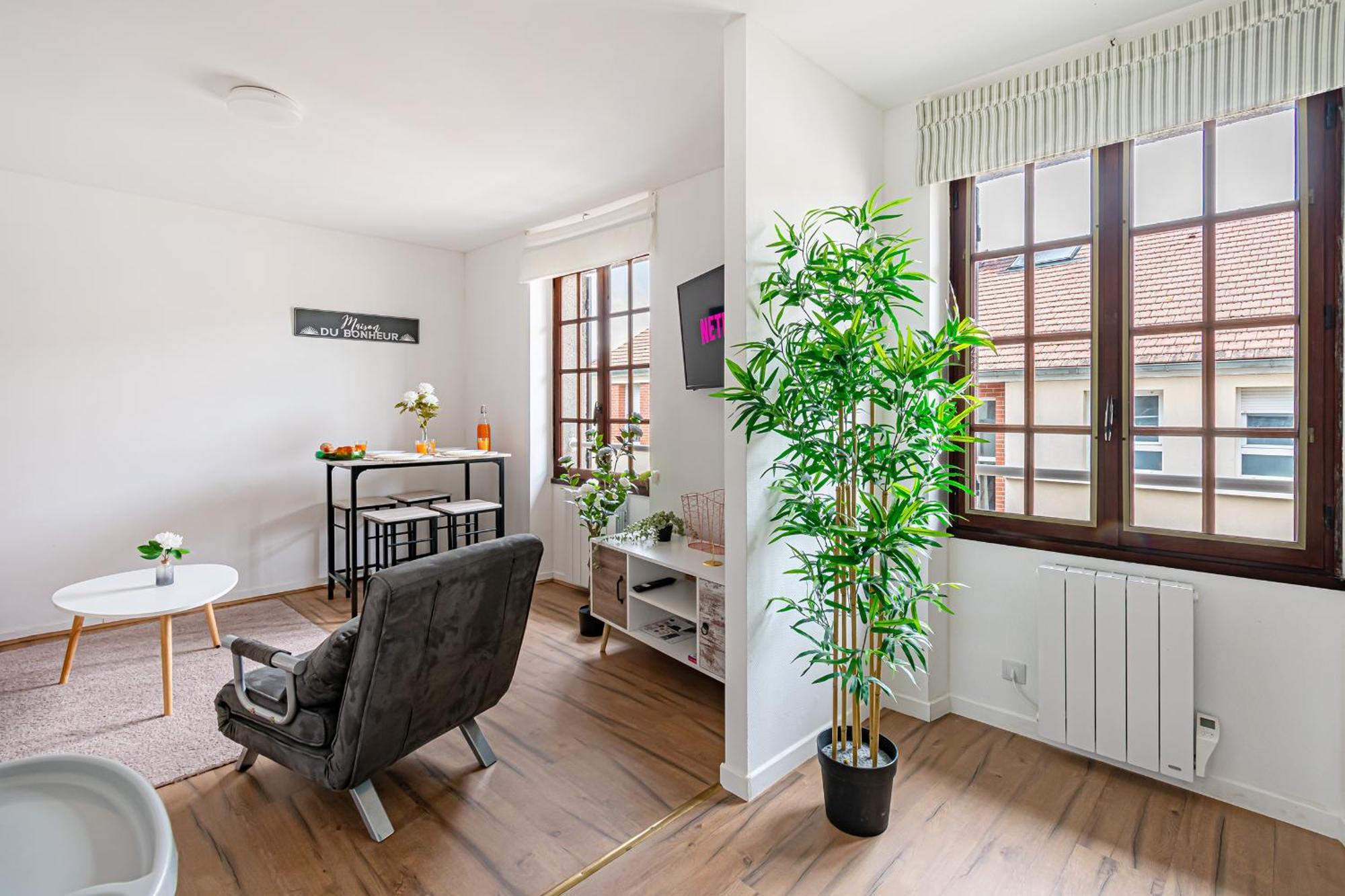 Apartment Grand 38m2, Aeroport Paris Cdg, Disneyland Paris, Parc Asterix, Chambre, Salon *